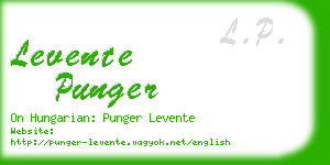 levente punger business card